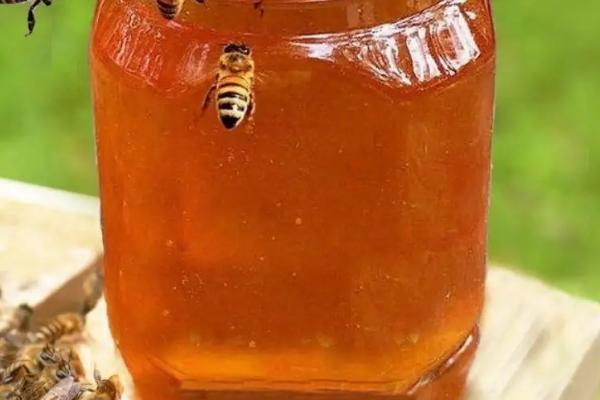 什么样的蜂蜜是好蜂蜜，是由蜜蜂采集花蜜酿制的