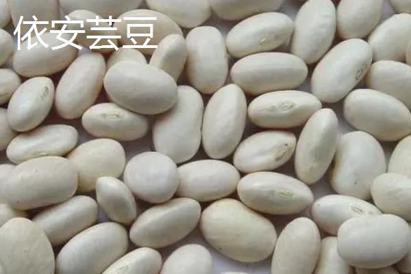 黑龙江桦南县的特产，桦南白瓜籽远销海外