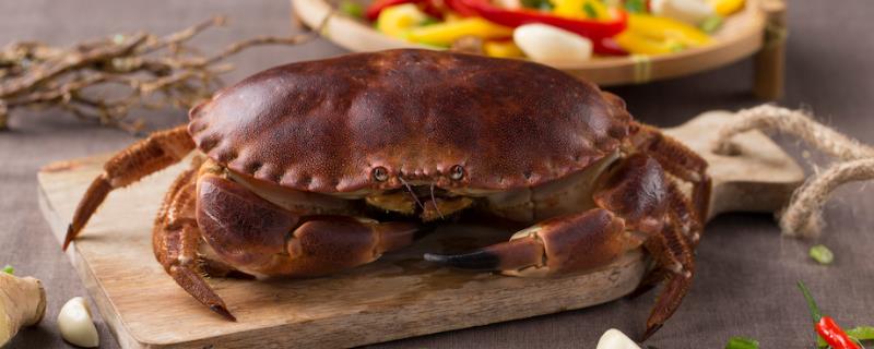 面包蟹和珍宝蟹的区别，产地、外形和价格均不同