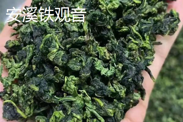 十种名贵的茶叶，安溪铁观音属于茶中珍品