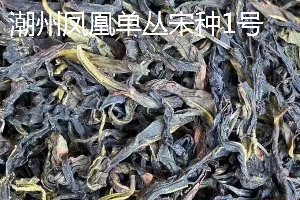 十种名贵的茶叶，安溪铁观音属于茶中珍品