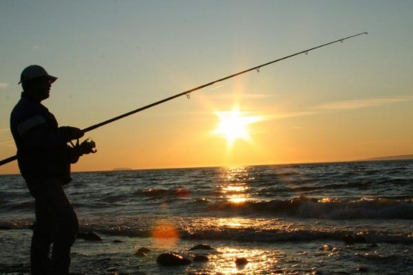 垂钓鲮鱼的技巧，可采用跑铅钓、竖铅钓等钓法