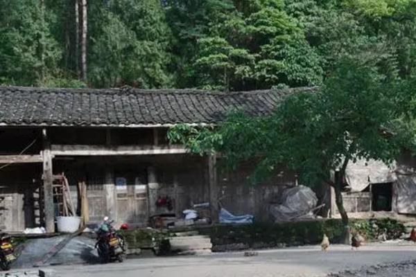 农村房不住、地不种、车不开、钱不花的原因，原因是如今种地难以赚到钱
