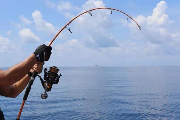 海钓技巧，沉底钓是海钓最广泛的钓法