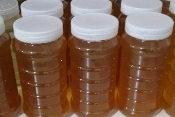 土蜂蜜的正常价格，一斤需要100-300元左右