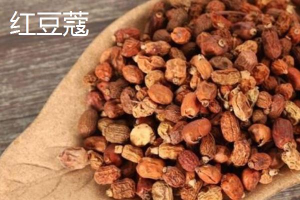 豆蔻的价格，不同的种类价格不同