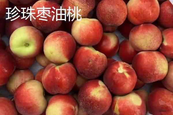 油桃的品种，是夏季水果