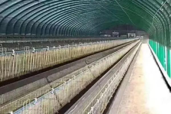 养鸽必需设备，需要巢盆、食槽、饮水器等设备