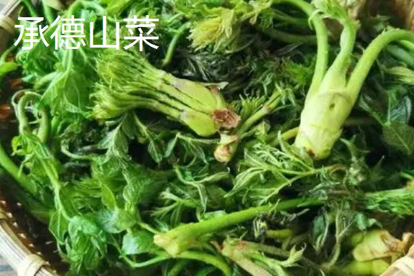 河北承德县的特产，盛产杏仁