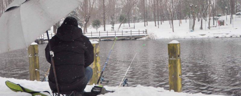 十二月份钓鱼技巧，建议在晴朗天气的上午出钓