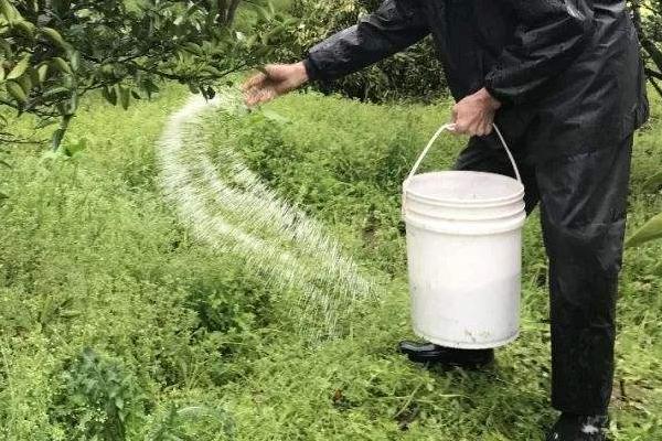 使用化肥要注意哪些问题，氮肥不能浅施、高浓度肥料不能一次性使用过多