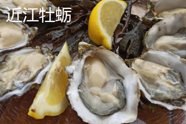 长牡蛎的产地，原产于中国、朝鲜、日本和俄罗斯