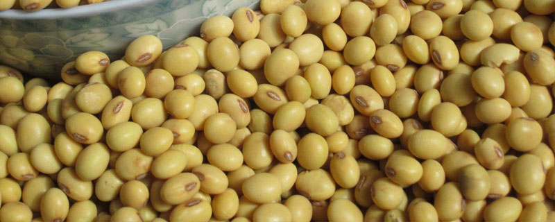 长农601大豆品种简介，一般4月下旬至5月上旬播种