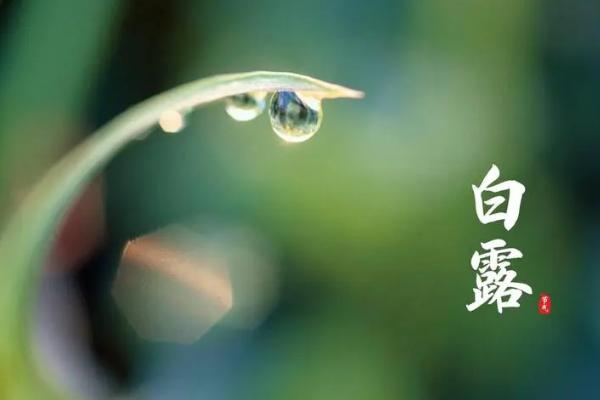 谷雨节气的农事谚语，要想庄稼好、管理要趁早