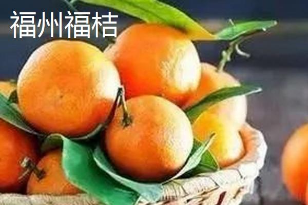 福建省福州市的水果特产有哪些，包括青山龙眼、一都枇杷、福州橄榄等种类