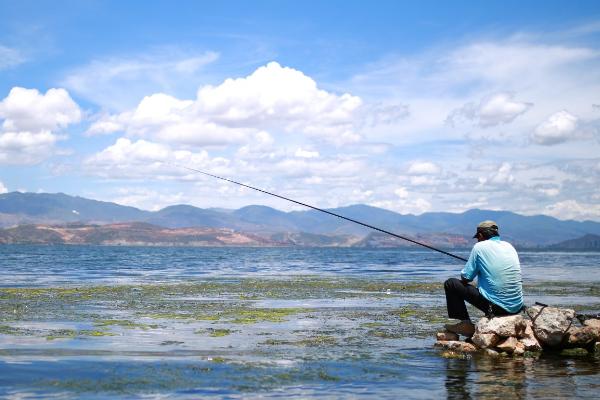 白天钓鲶鱼的方法，常用的钓法有手竿钓法、海竿钓法、沉底钓法等