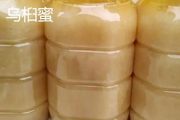 乌桕蜜和荆条蜜对比，后者的色泽和口感都要更好