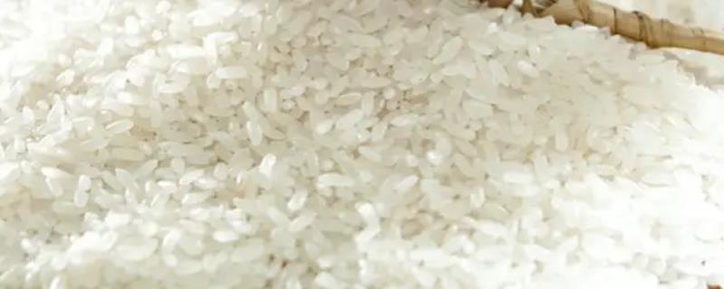 蟹稻米是什么稻米，是以蟹稻混养的模式种植的稻米