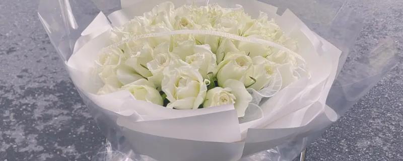 33朵白玫瑰代表的意思，寓意三生三世、美好的回忆等