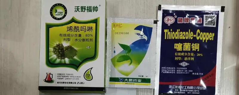 噻菌铜可以治什么病，可有效防治水稻细菌性条斑病、白叶枯病等