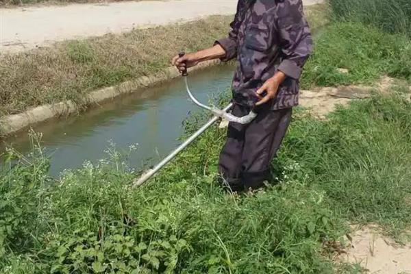 吊丝虫和菜青虫的区别是什么，卵、幼虫和成虫均不同