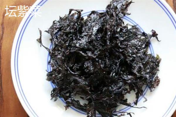 紫菜的种类，常见的有坛紫菜、条斑紫菜等