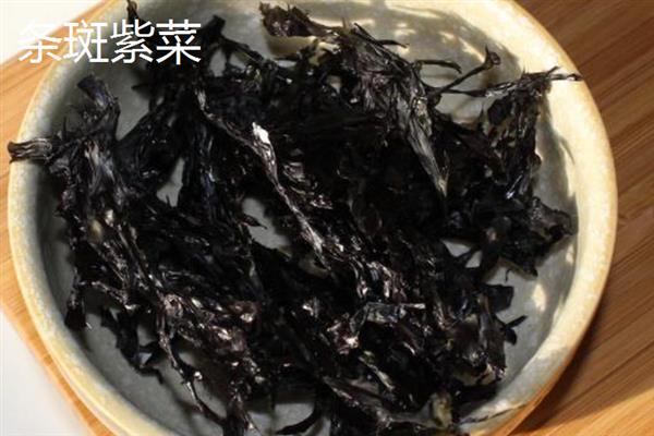 紫菜的种类，常见的有坛紫菜、条斑紫菜等