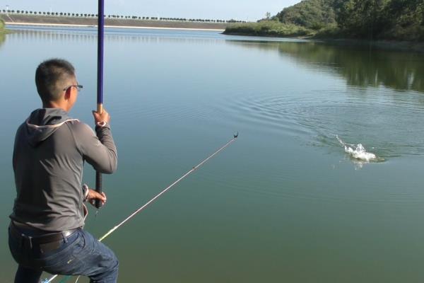 野钓可以用溪流竿吗，野钓实际上最适合用溪流竿