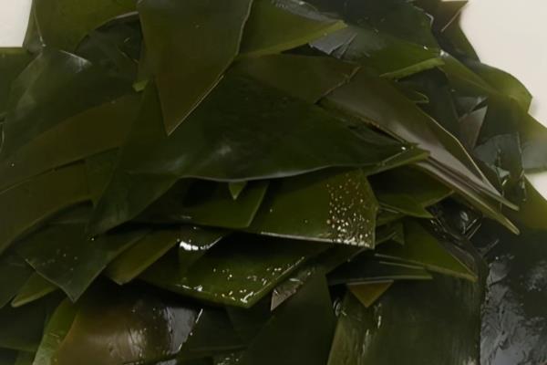 海带属于海鲜吗，属于海产品但不属于海鲜