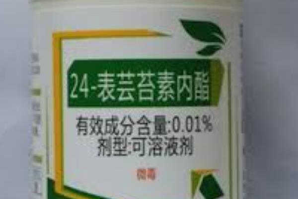 芸苔素内酯怎么使用，可以浸种或喷施叶面