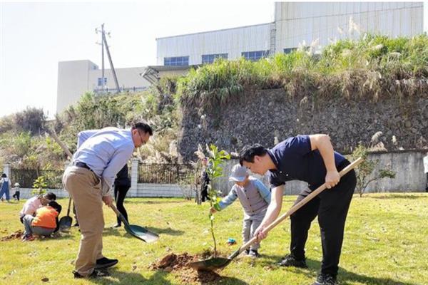 新嫁接果树苗越冬技术，土壤结冻前涂刷或洒在果苗上