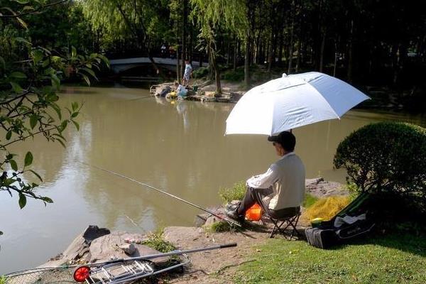 夏季下午钓鱼钓深还是浅，钓深更常见一些