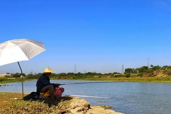 夏季下午钓鱼钓深还是浅，钓深更常见一些