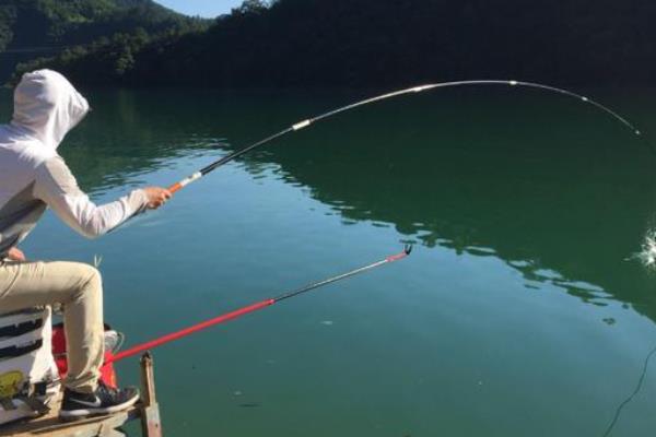 夏季下午钓鱼钓深还是浅，钓深更常见一些