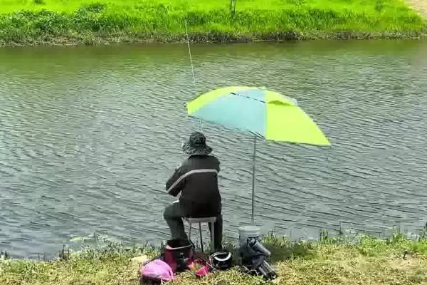 钓鱼好不好钓，与天气、饵料、钓点等相关