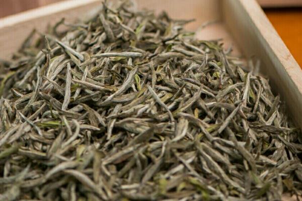 银毫白针的简介，是一种普洱茶