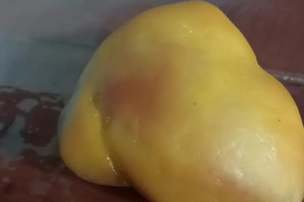什么是鸡宝，指的是病变卵泡