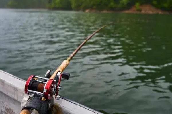 筏钓的最佳钓点，养殖网箱下面堪称最佳钓点