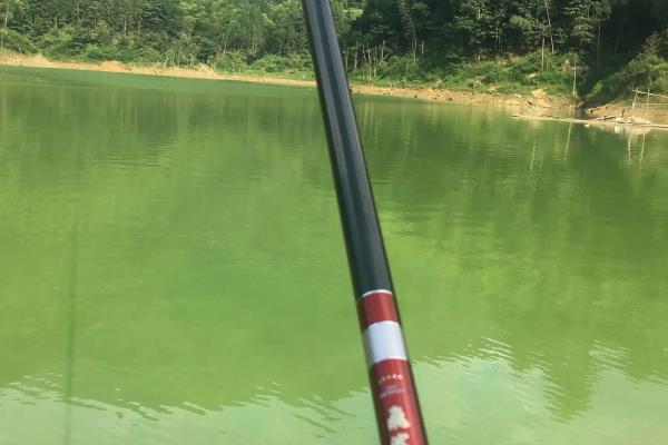 筏钓的最佳钓点，养殖网箱下面堪称最佳钓点