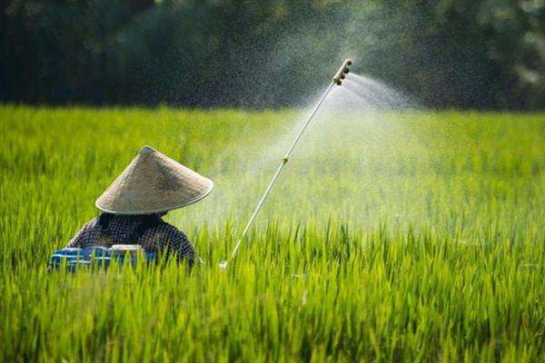 中生菌素的作用和用法，可防治白菜软腐病、苹果轮纹病等病害