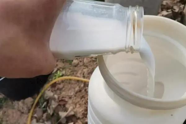 中生菌素的作用和用法，可防治白菜软腐病、苹果轮纹病等病害