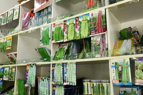春耕种子的挑选方法，所选种子需适应当地的气候条件