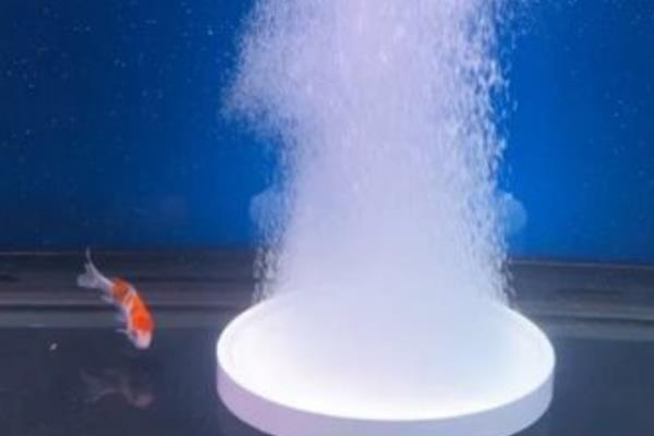气泡石的种类，有白刚玉气泡石、碳化硅气泡石等