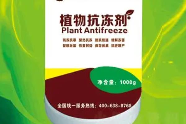 如何救活冻伤的植物，需要根据不同状况作出相应的措施