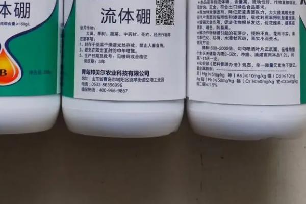如何救活冻伤的植物，需要根据不同状况作出相应的措施