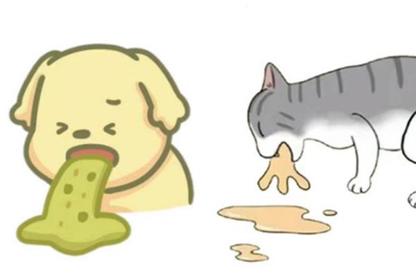犬猫食物中毒有什么症状，具有精神沉郁、食欲降低、呕吐腹泻等表现