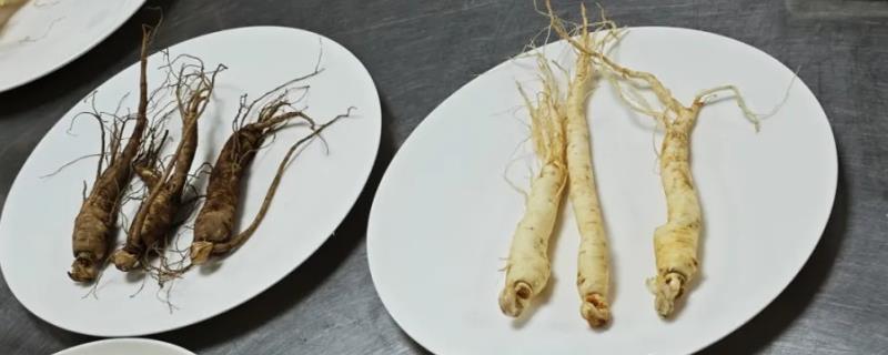 人参叶子的外形特征，呈扁平状