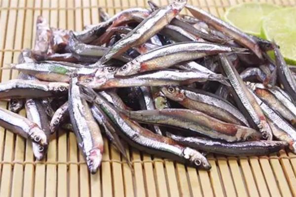 丁香鱼是什么鱼，也叫小银鱼、抽条等
