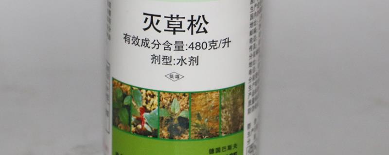 灭草松除草剂见效所需时间，经过1-2天开始生效