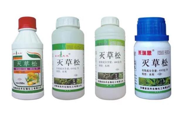 灭草松除草剂见效所需时间，经过1-2天开始生效